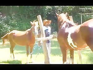 Horse And Gairl Xxxcvideos - Horse Alison Xxx Videos