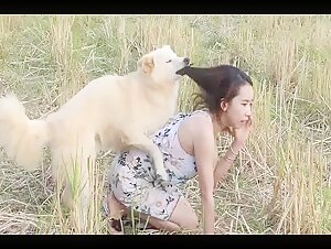 Girls Thai And Dog Porn - Lovely smart dog and Thai Girl - Bestiality Girls - Beast Porn Videos